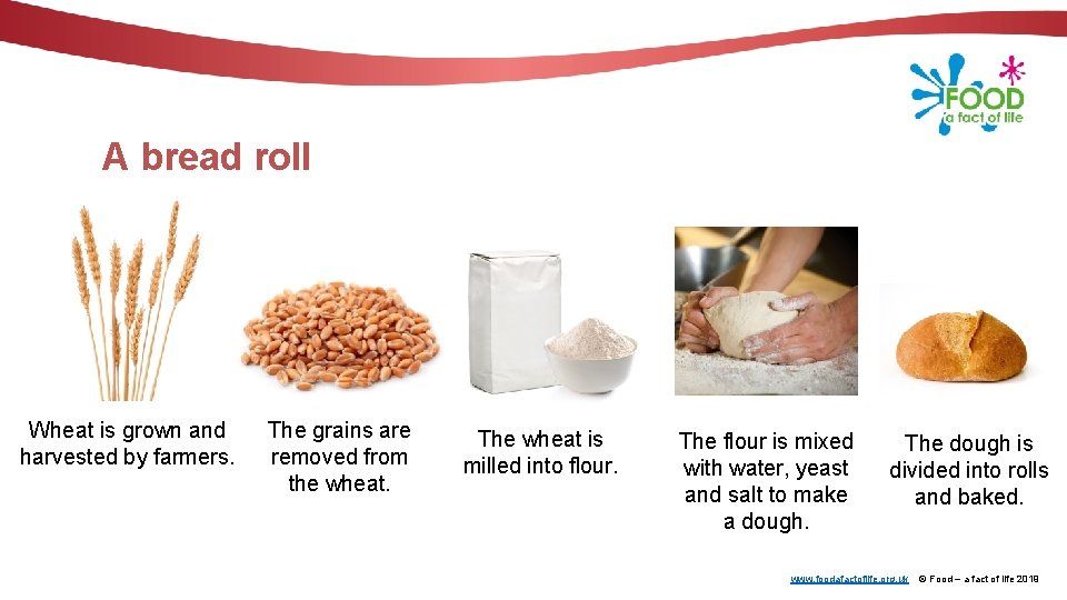 A bread roll Wheat is grown and harvested by farmers. The grains are removed