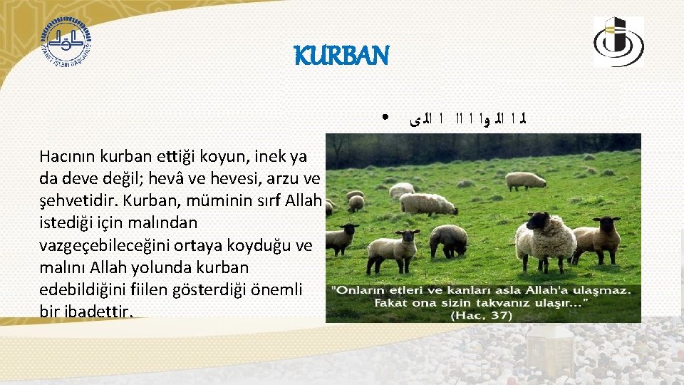 KURBAN ● Hacının kurban ettiği koyun, inek ya da deve değil; hevâ ve hevesi,