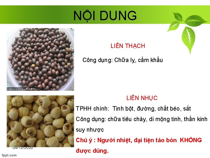 NỘI DUNG LIÊN THẠCH Công dụng: Chữa lỵ, cấm khẩu LIÊN NHỤC TPHH chính: