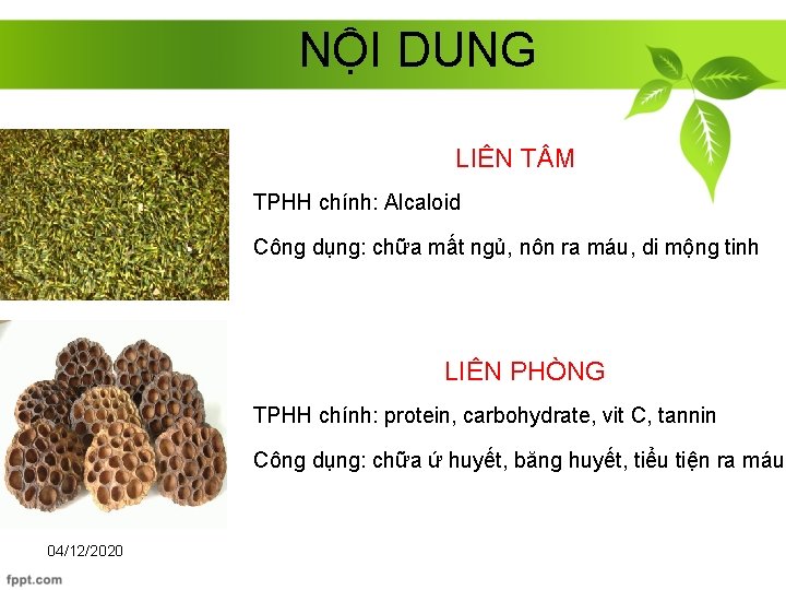 NỘI DUNG LIÊN T M TPHH chính: Alcaloid Công dụng: chữa mất ngủ, nôn
