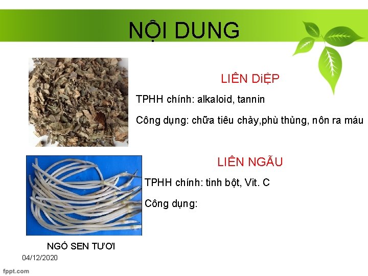 NỘI DUNG LIÊN DiỆP TPHH chính: alkaloid, tannin Công dụng: chữa tiêu chảy, phù