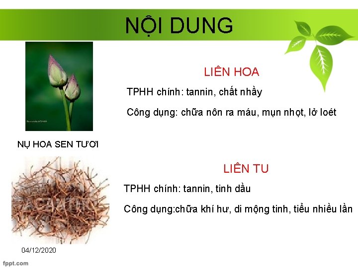 NỘI DUNG LIÊN HOA TPHH chính: tannin, chất nhầy Công dụng: chữa nôn ra
