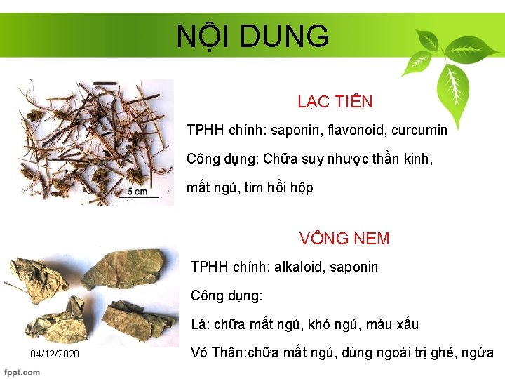 NỘI DUNG LẠC TIÊN TPHH chính: saponin, flavonoid, curcumin Công dụng: Chữa suy nhược