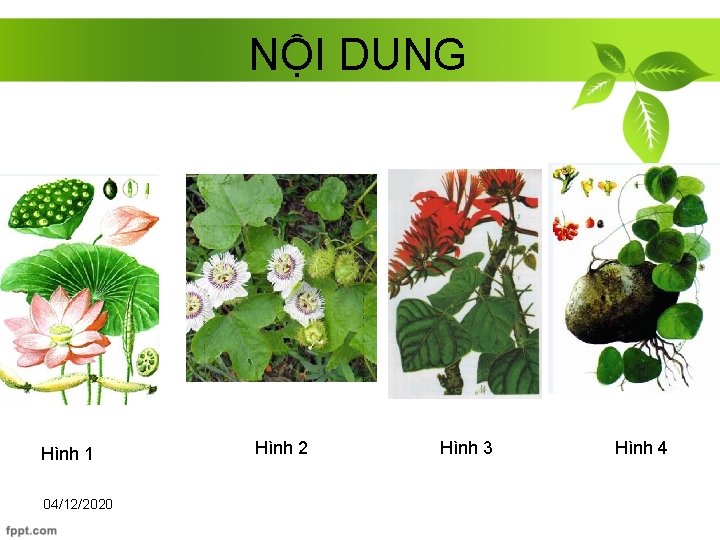 NỘI DUNG Hình 1 04/12/2020 Hình 2 Hình 3 Hình 4 