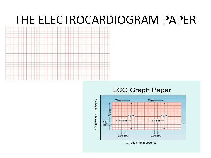 THE ELECTROCARDIOGRAM PAPER 