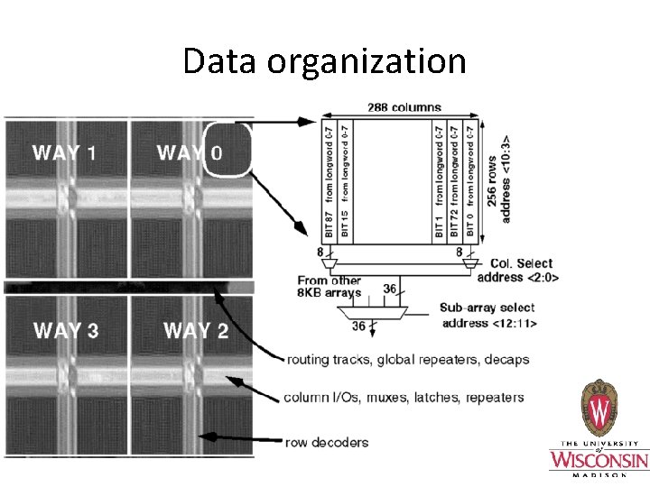Data organization 