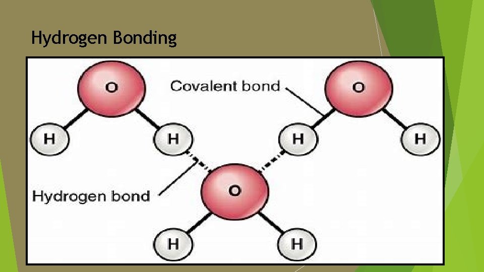 Hydrogen Bonding 