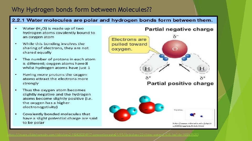 Why Hydrogen bonds form between Molecules? ? https: //image. slidesharecdn. com/ibbiology 2 -150428204917 -conversion-gate