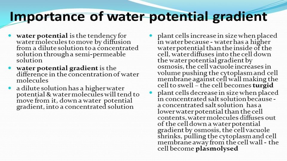 The Importance of Water in Cells 