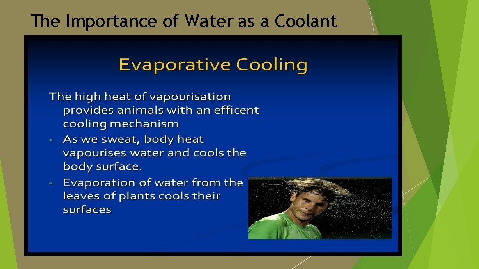 The Importance of Water as a Coolant 