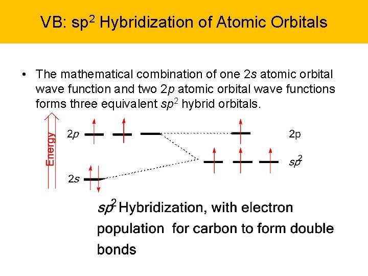 VB: sp 2 Hybridization of Atomic Orbitals • The mathematical combination of one 2