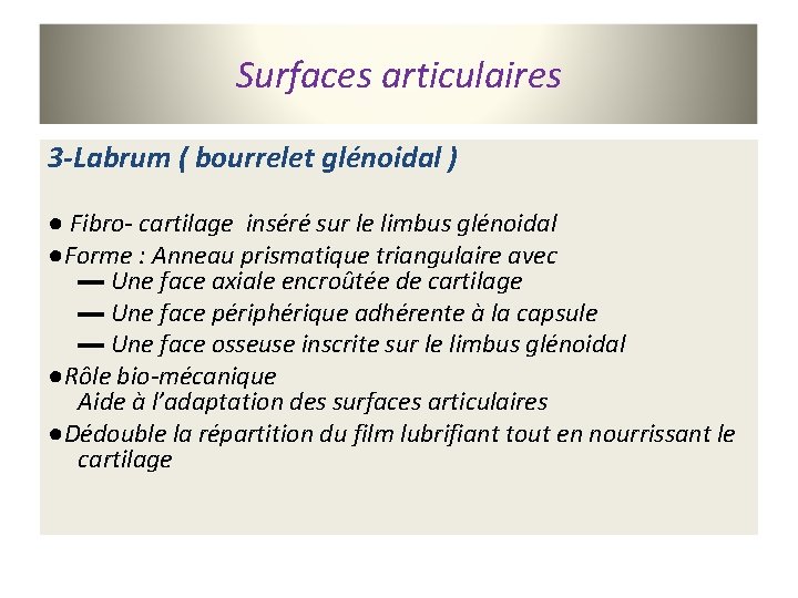 Surfaces articulaires 3 -Labrum ( bourrelet glénoidal ) ● Fibro- cartilage inséré sur le