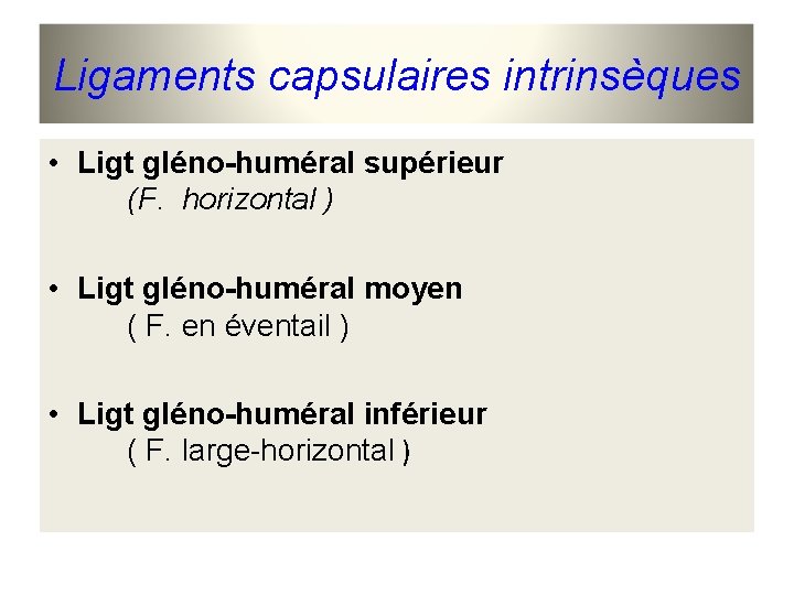 Ligaments capsulaires intrinsèques • Ligt gléno-huméral supérieur (F. horizontal ) • Ligt gléno-huméral moyen