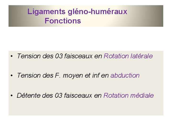 Ligaments gléno-huméraux Fonctions • Tension des 03 faisceaux en Rotation latérale • Tension des