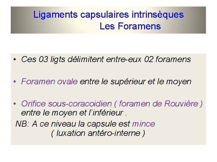 Ligaments capsulaires intrinsèques Les Foramens • Ces 03 ligts délimitent entre-eux 02 foramens •
