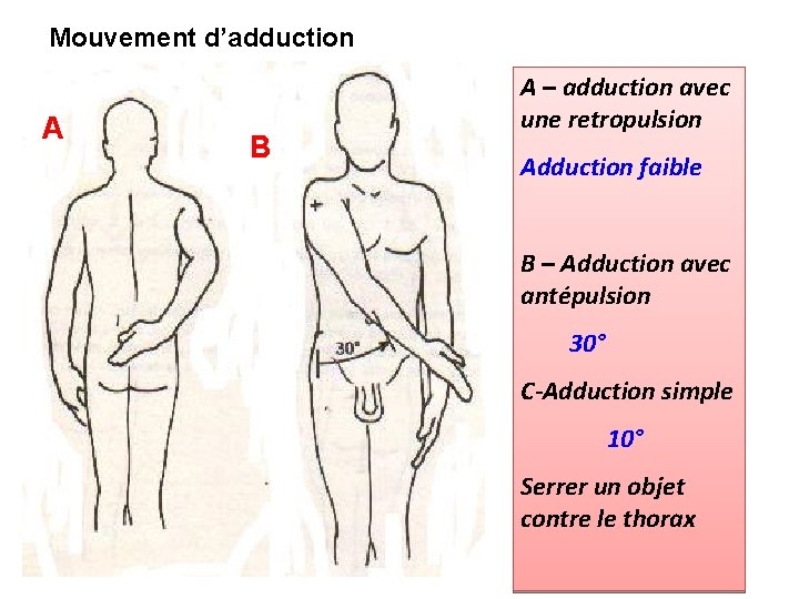 Mouvement d’adduction A B A – adduction avec une retropulsion Adduction faible B –