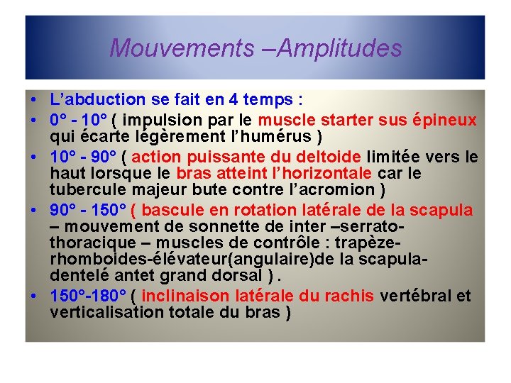 Mouvements –Amplitudes • L’abduction se fait en 4 temps : • 0° - 10°