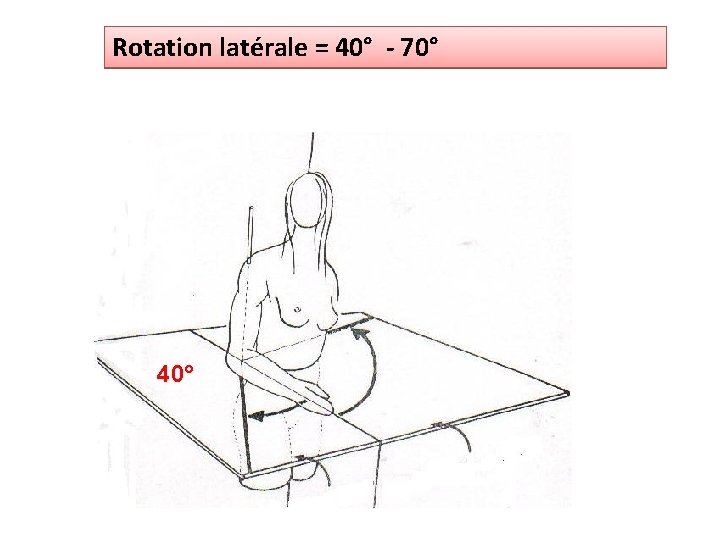 Rotation latérale = 40° - 70° 40° 