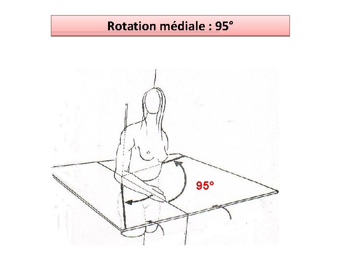 Rotation médiale : 95° 
