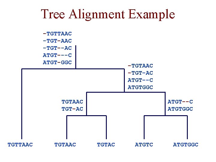 Tree Alignment Example -TGTTAAC -TGT--AC ATGT---C ATGT-GGC -TGTAAC -TGT-AC ATGT--C ATGTGGC TGTAAC TGT-AC TGTTAAC