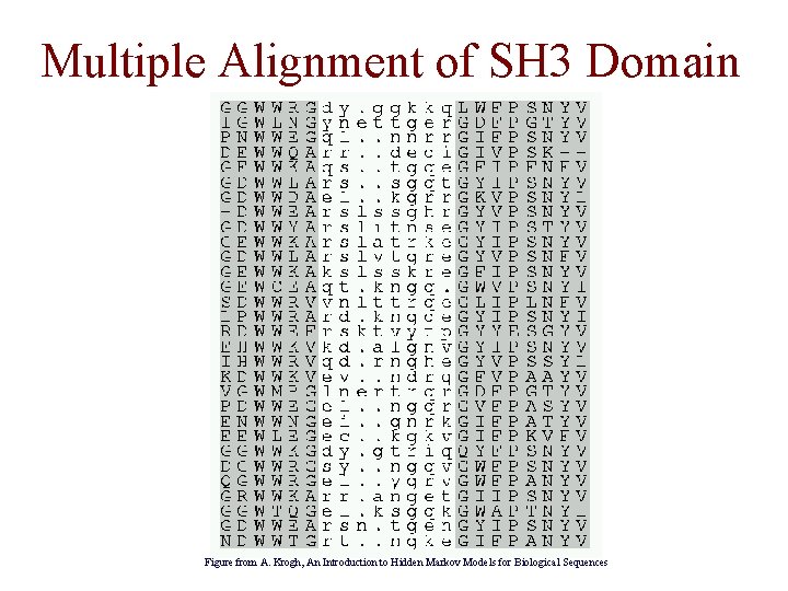 Multiple Alignment of SH 3 Domain Figure from A. Krogh, An Introduction to Hidden