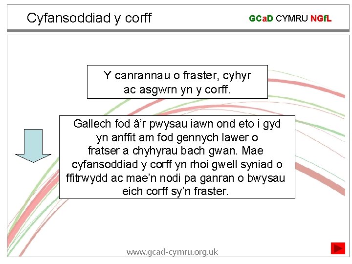 Cyfansoddiad y corff GCa. D CYMRU NGf. L Y canrannau o fraster, cyhyr ac