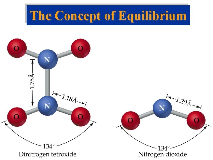 The Concept of Equilibrium 
