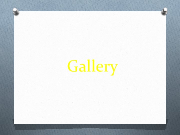 Gallery 