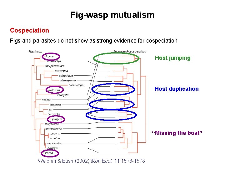 Fig-wasp mutualism Cospeciation Figs and parasites do not show as strong evidence for cospeciation