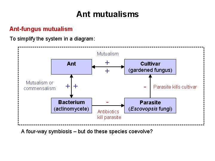 Ant mutualisms Ant-fungus mutualism To simplify the system in a diagram: Mutualism Ant Mutualism