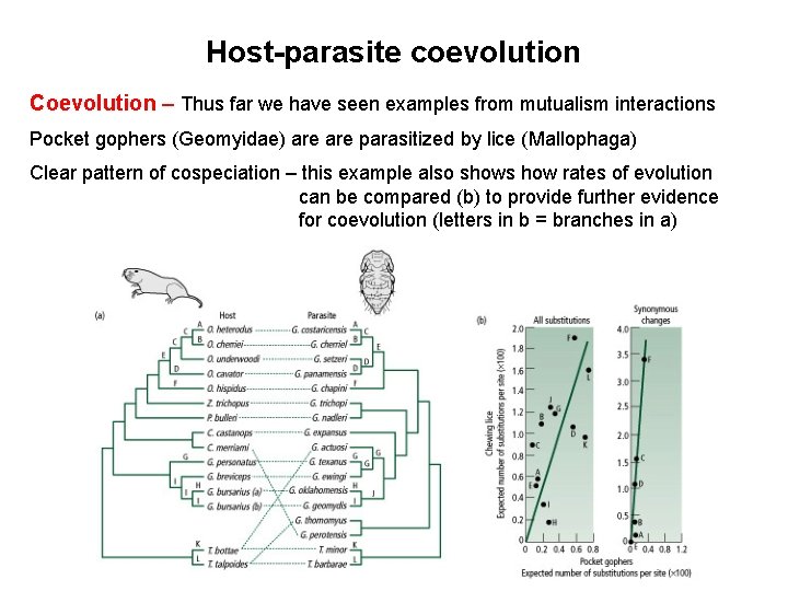 Host-parasite coevolution Coevolution – Thus far we have seen examples from mutualism interactions Pocket