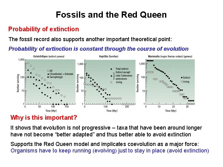 Fossils and the Red Queen Probability of extinction The fossil record also supports another