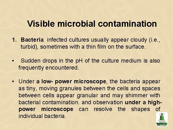 Visible microbial contamination 1. Bacteria: infected cultures usually appear cloudy (i. e. , turbid),