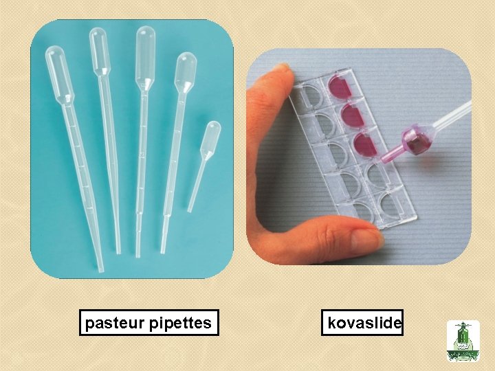 pasteur pipettes kovaslide 