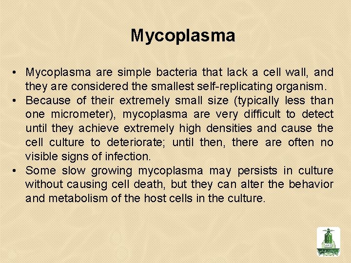 Mycoplasma • Mycoplasma are simple bacteria that lack a cell wall, and they are