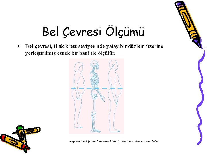 Bel Çevresi Ölçümü • Bel çevresi, iliak krest seviyesinde yatay bir düzlem üzerine yerleştirilmiş