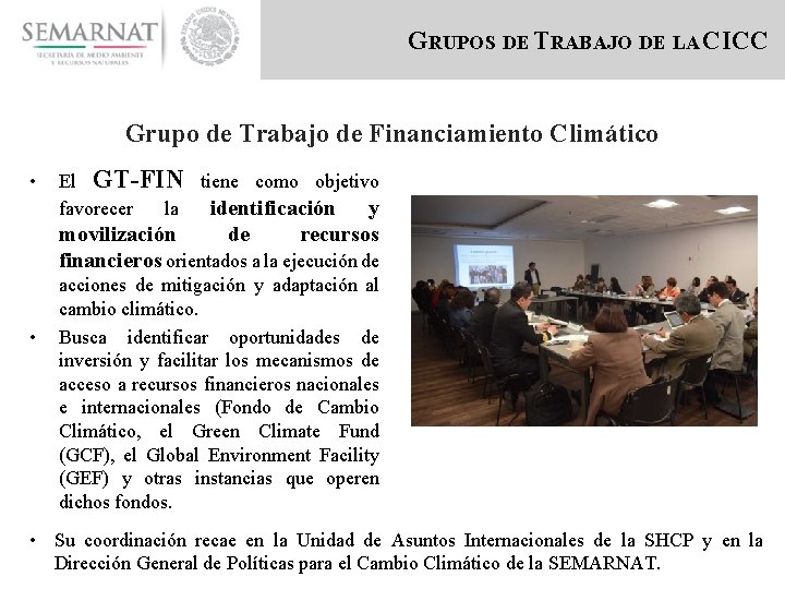 GRUPOS DE TRABAJO DE LA CICC Grupo de Trabajo de Financiamiento Climático • El
