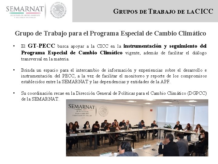 GRUPOS DE TRABAJO DE LA CICC Grupo de Trabajo para el Programa Especial de