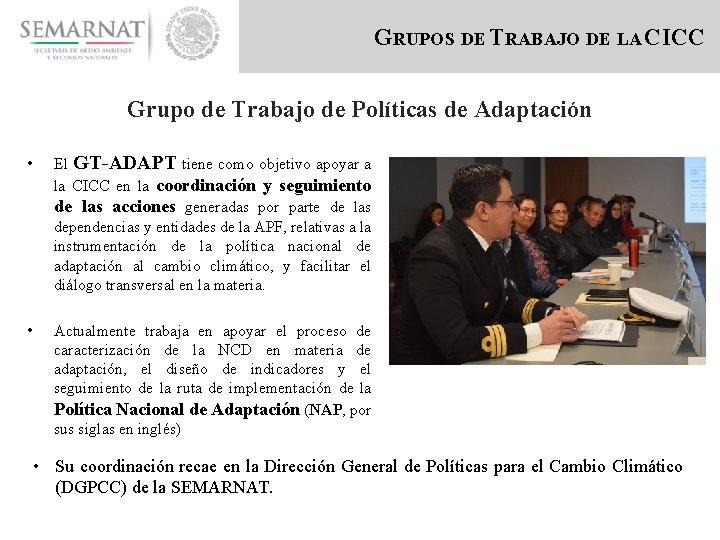GRUPOS DE TRABAJO DE LA CICC Grupo de Trabajo de Políticas de Adaptación •