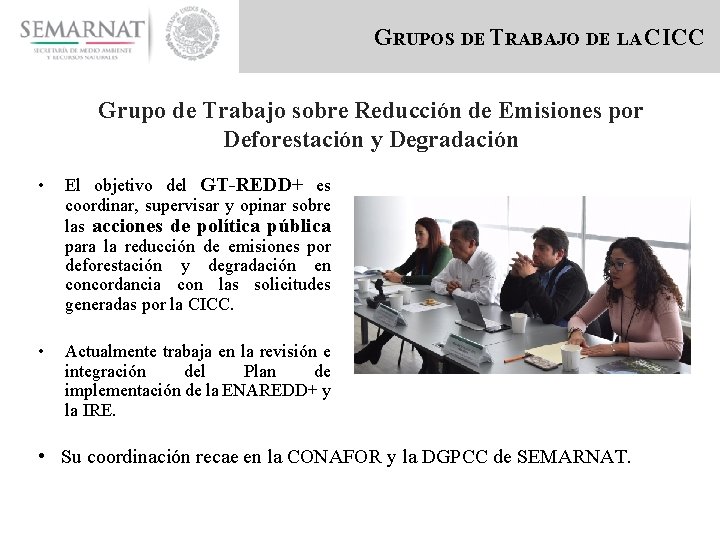 GRUPOS DE TRABAJO DE LA CICC Grupo de Trabajo sobre Reducción de Emisiones por