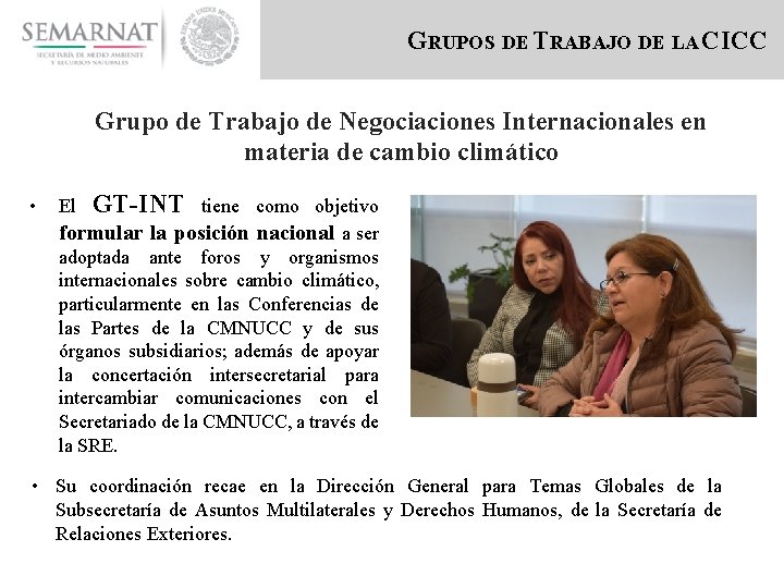 GRUPOS DE TRABAJO DE LA CICC Grupo de Trabajo de Negociaciones Internacionales en materia