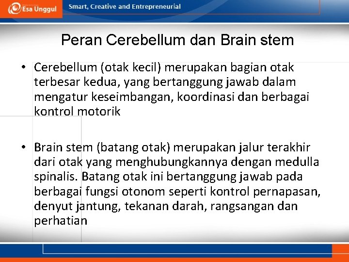 Peran Cerebellum dan Brain stem • Cerebellum (otak kecil) merupakan bagian otak terbesar kedua,