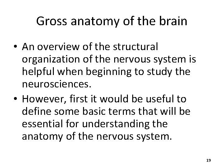 Gross anatomy of the brain • An overview of the structural organization of the