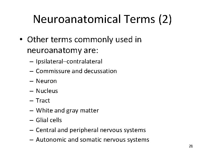 Neuroanatomical Terms (2) • Other terms commonly used in neuroanatomy are: – – –