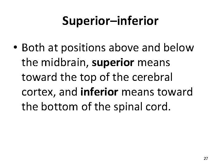 Superior–inferior • Both at positions above and below the midbrain, superior means toward the