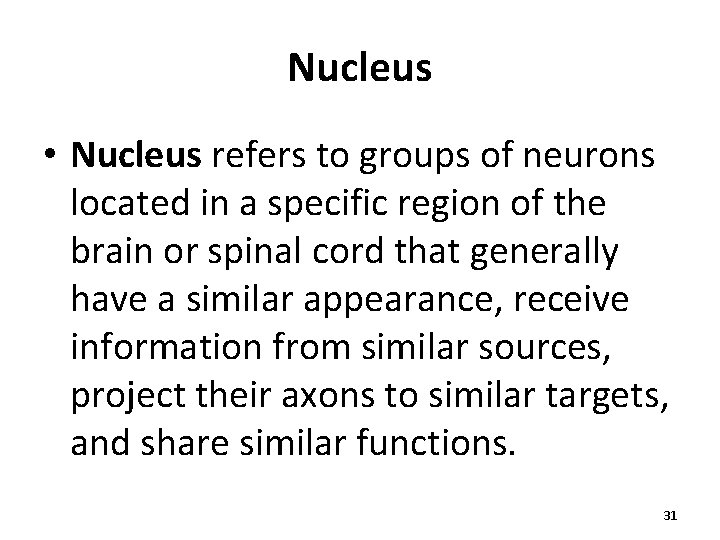 Nucleus • Nucleus refers to groups of neurons located in a specific region of