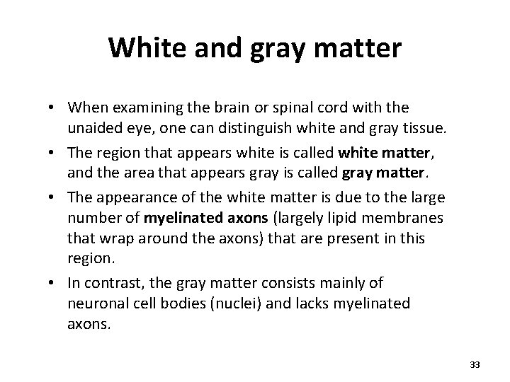 White and gray matter • When examining the brain or spinal cord with the