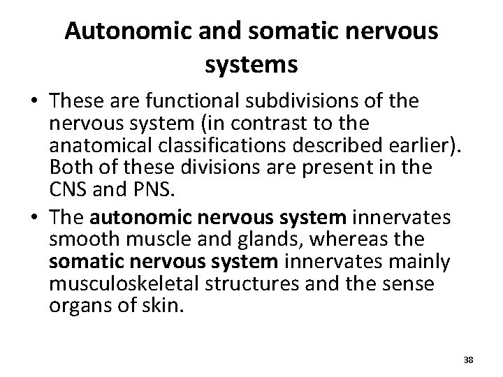 Autonomic and somatic nervous systems • These are functional subdivisions of the nervous system