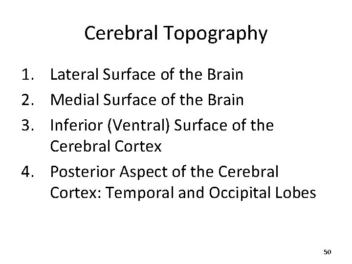 Cerebral Topography 1. Lateral Surface of the Brain 2. Medial Surface of the Brain