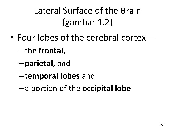 Lateral Surface of the Brain (gambar 1. 2) • Four lobes of the cerebral